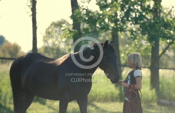 Standardbred Adopted