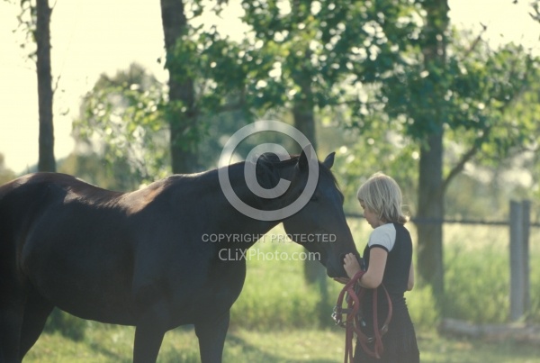 Standardbred Adopted