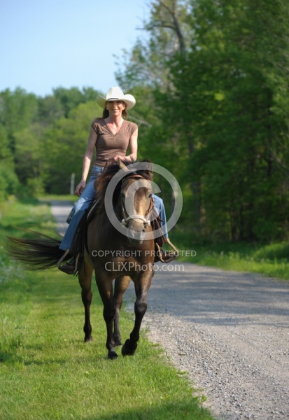 Trail Riding Quarter Horse Summer