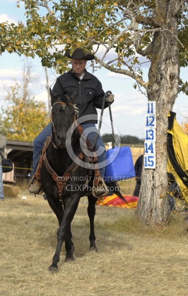 Wild Deuce Working Mountain Horse Competition