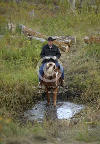 Wild Deuce Working Mountain Horse Competition