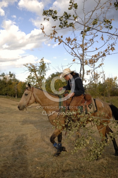 Wild Deuce Working Mountain Horse Competition