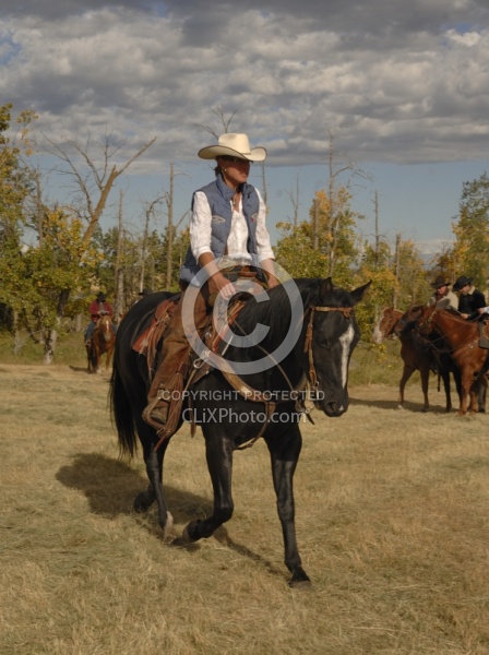 Wild Deuce Working Mountain Horse Competition