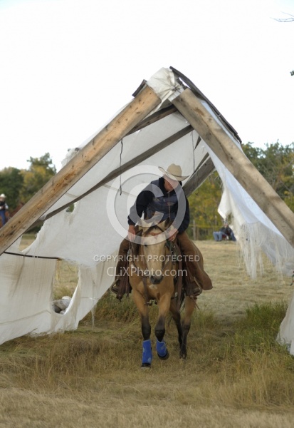 Wild Deuce Working Mountain Horse Competition