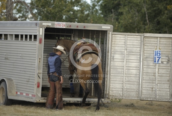 Wild Deuce Working Mountain Horse Competition