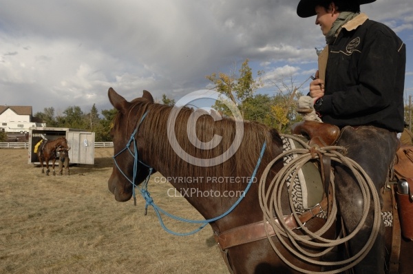 Wild Deuce Working Mountain Horse Competition