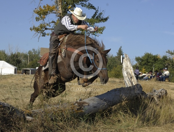 Wild Deuce Working Mountain Horse Competition