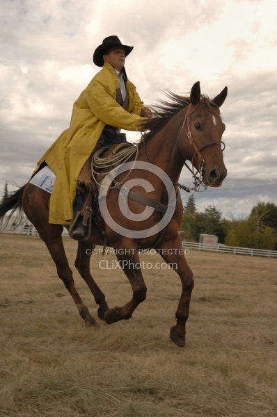 Wild Deuce Working Mountain Horse Competition