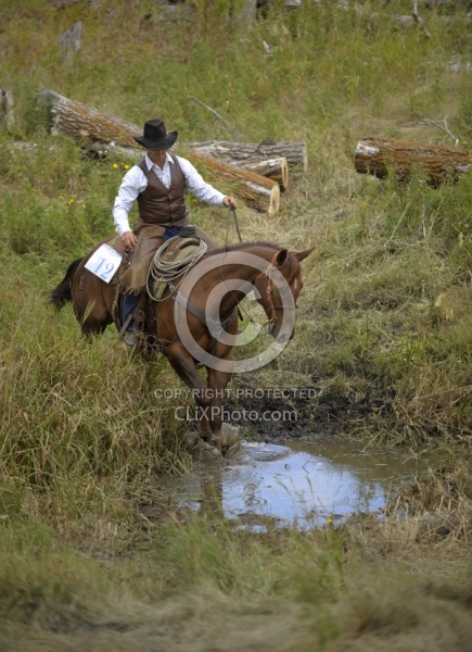 Wild Deuce Working Mountain Horse Competition