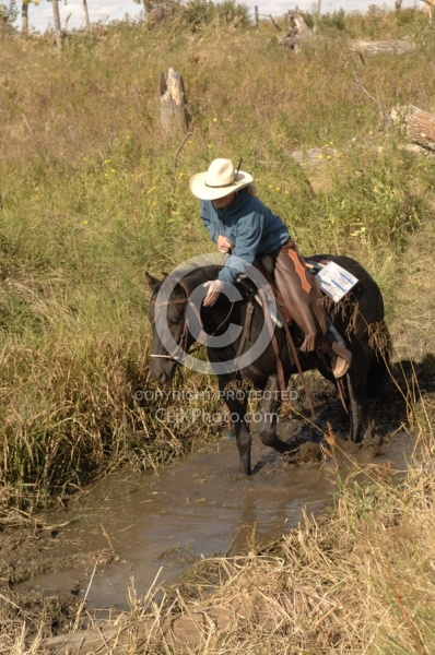 Wild Deuce Working Mountain Horse Competition