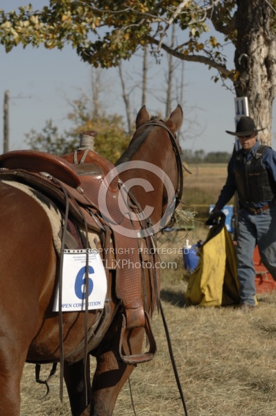 Wild Deuce Working Mountain Horse Competition