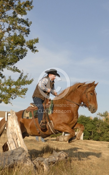 Wild Deuce Working Mountain Horse Competition