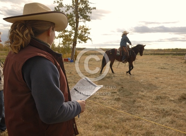 Wild Deuce Working Mountain Horse Competition