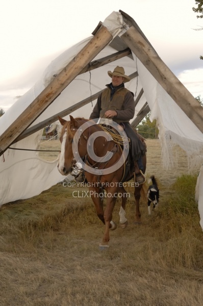 Wild Deuce Working Mountain Horse Competition