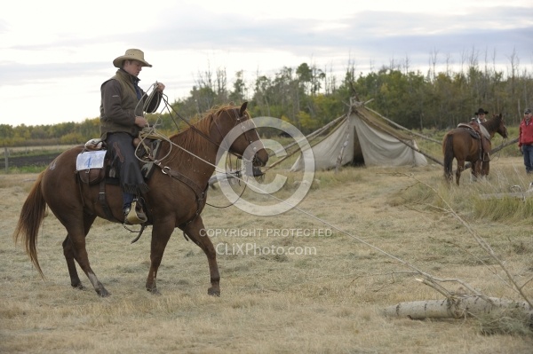Wild Deuce Working Mountain Horse Competition