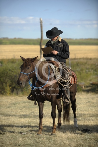 Wild Deuce Working Mountain Horse Competition