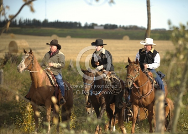 Wild Deuce Working Mountain Horse Competition