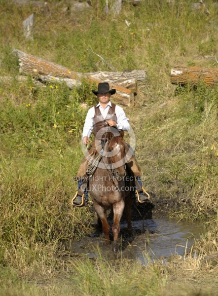 Wild Deuce Working Mountain Horse Competition