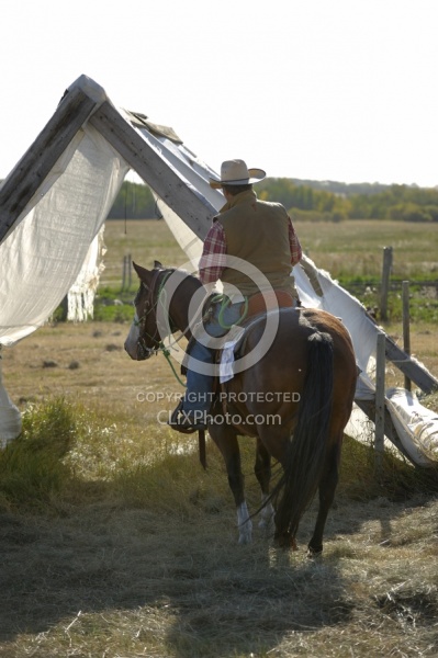 Wild Deuce Working Mountain Horse Competition