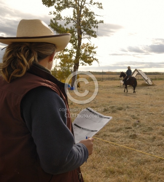 Wild Deuce Working Mountain Horse Competition