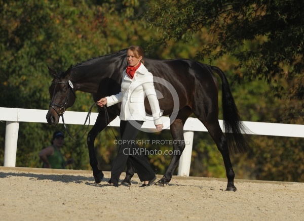 Jessica Phoenix and Exponential