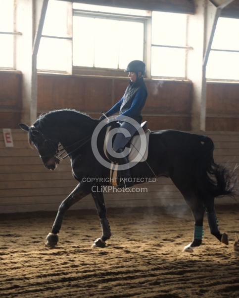 Dressage Schooling in Indoor Arena in Winter 
