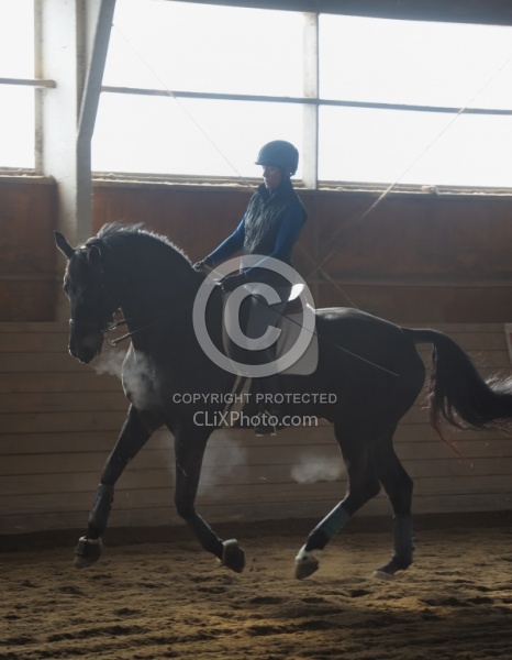 Dressage Schooling in Indoor Arena in Winter 