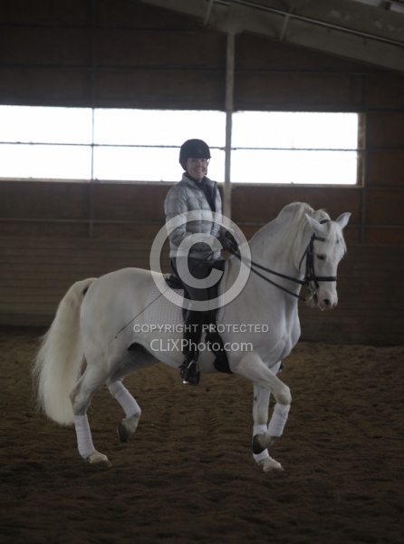  Lusitano Schooling Dressage