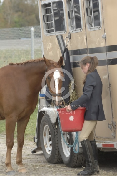  Watering Horse at Horse Show
