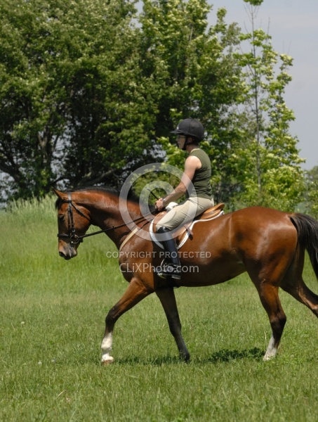 Schooling English in Summer