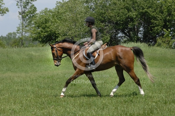 Schooling English in Summer
