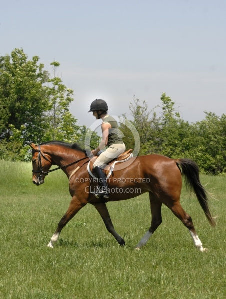 Schooling English in Summer