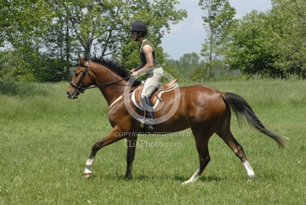 Schooling English in Summer