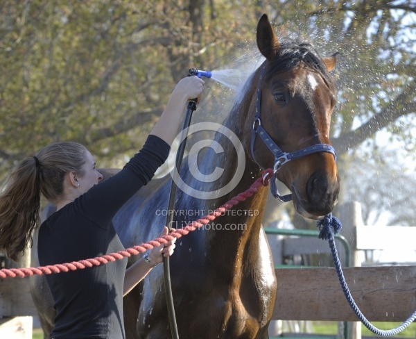 Bathing In Outdoor Washstall Hilltop 