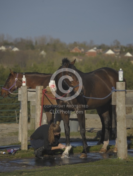 Bathing In Outdoor Washstall Hilltop 