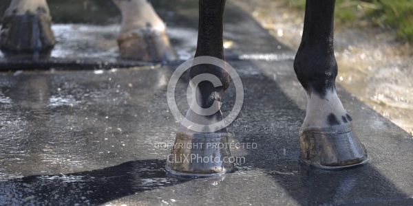 Bathing In Outdoor Washstall Hilltop 