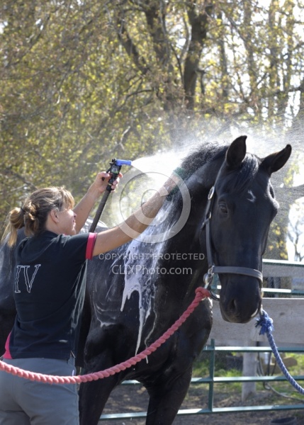 Bathing In Outdoor Washstall Hilltop 