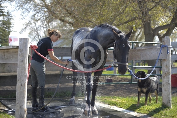 Bathing In Outdoor Washstall Hilltop 