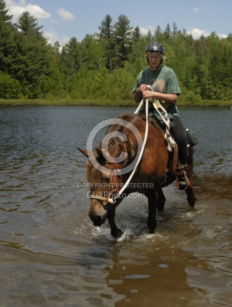 Summer Fun in the Lake at Otter Creek