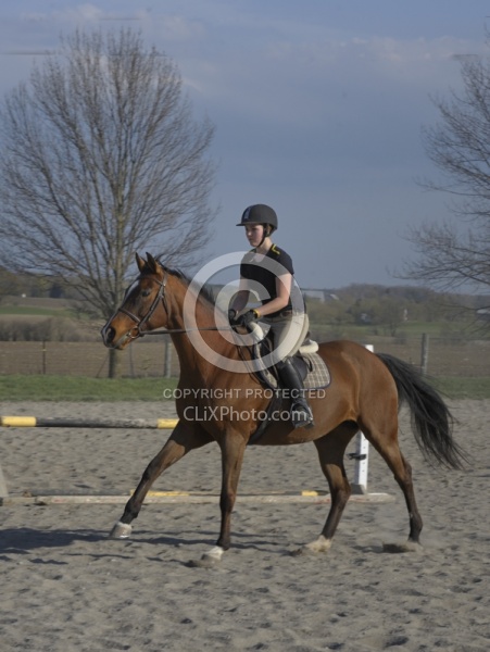 Quarter Horse Schooling Over Fences at Hilltop
