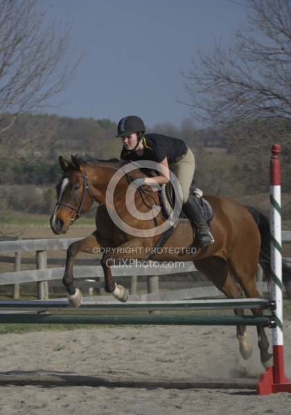 Quarter Horse Schooling Over Fences at Hilltop