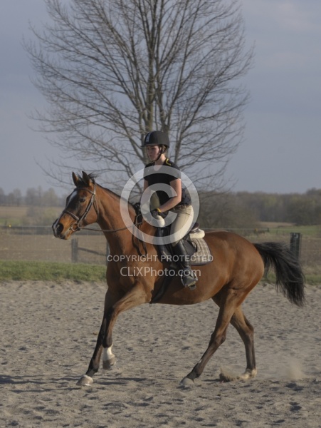 Quarter Horse Schooling Over Fences at Hilltop