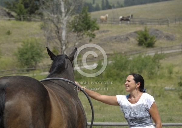 Natural Horsemanship