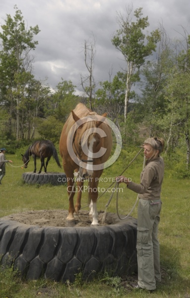 Natural Horsemanship