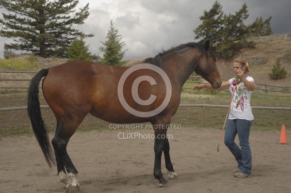 Natural Horsemanship