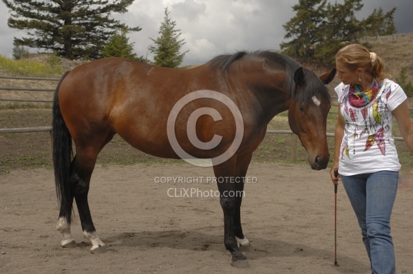 Natural Horsemanship