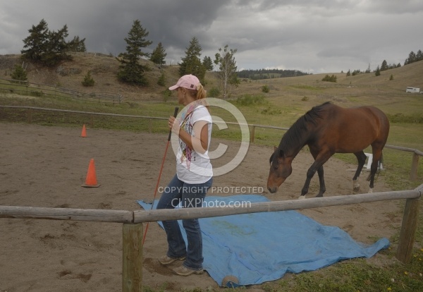 Natural Horsemanship