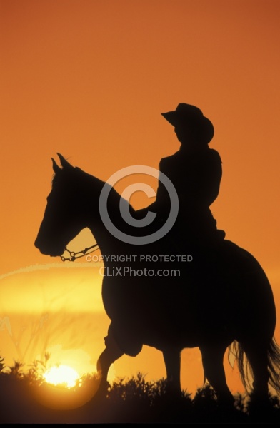 Silhoutte of Western Horse and Rider