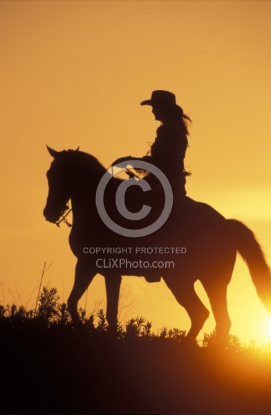 Silhoutte of Western Horse and Rider