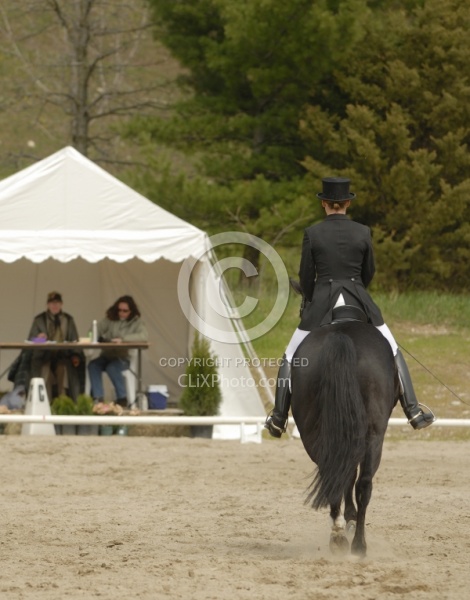Lower Level Dressage Show